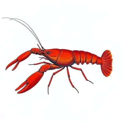 Crayfish