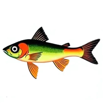 Endler's livebearer