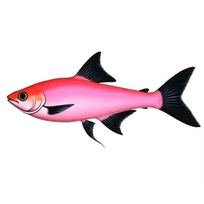 GloFish tetra