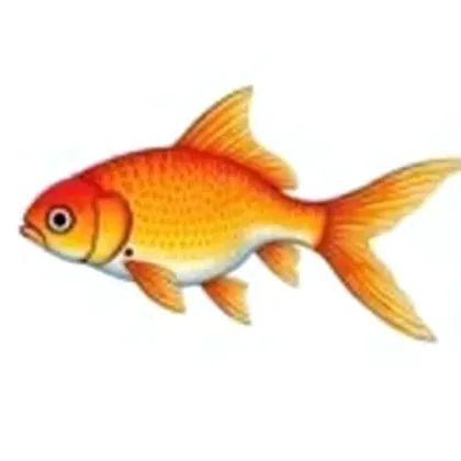 Goldfish