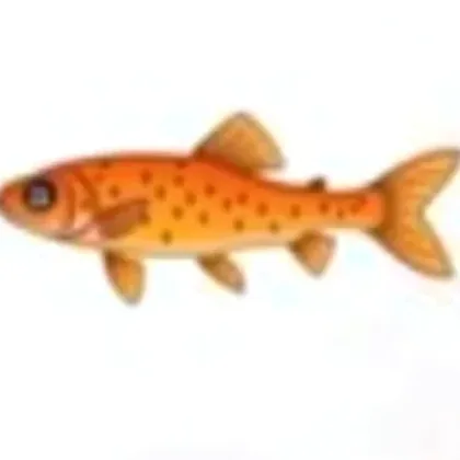 Killifish