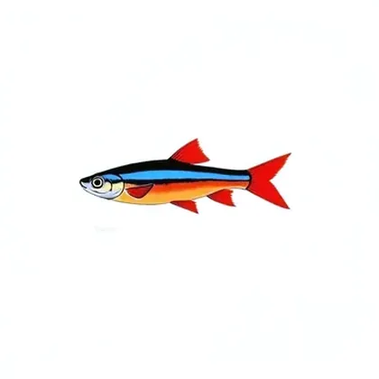 Neon tetra