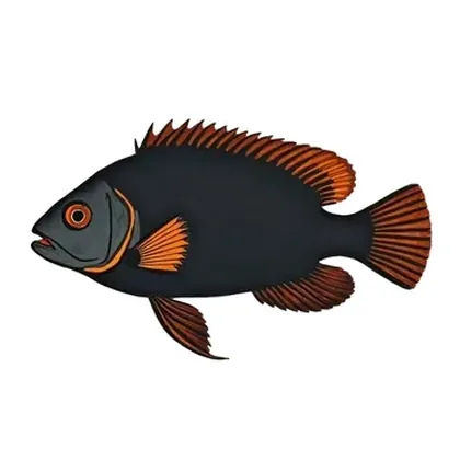 Oscar