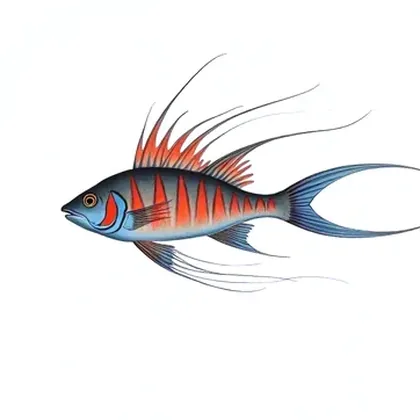 Paradise fish